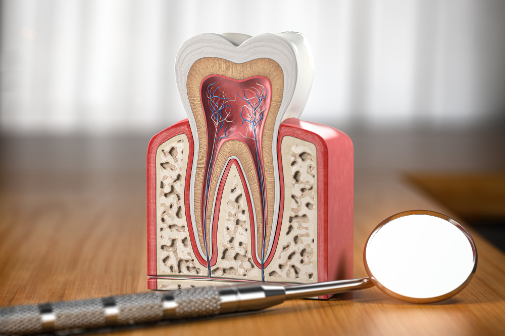 Clinica Odontológica Dentista